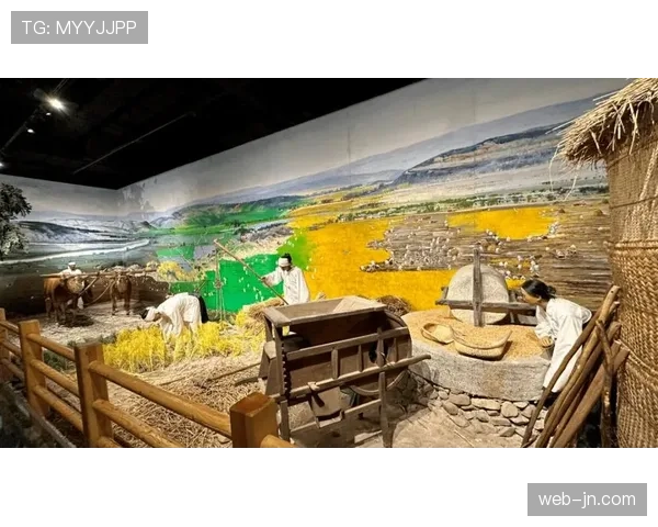 评论：赛事安全与历史传承的平衡——石板路维护的永恒议题