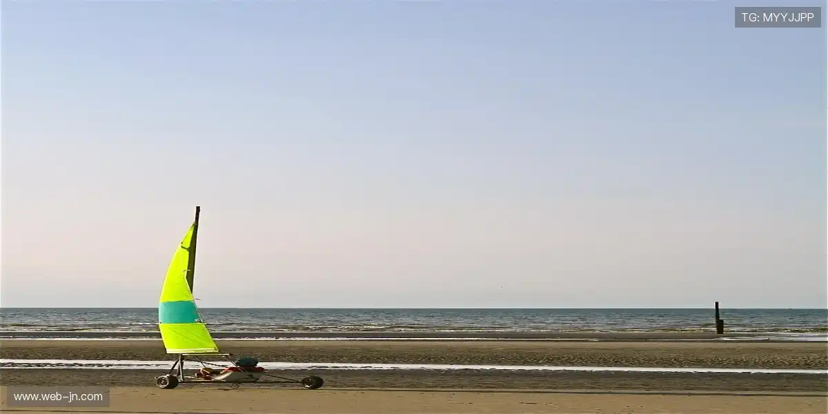 🏆舞台中央的冠军，无可替代的传奇时刻！🔥